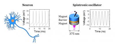 Spintronics oscillator vs Neuron image