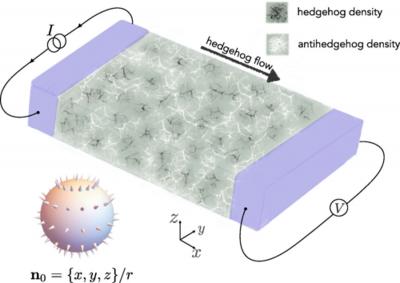Nonlocal transport measurement of hedgehog currents image