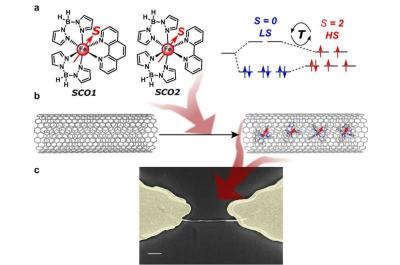 Spin-state-dependent electrical conductivity in single-walled carbon nanotubes encapsulating spin-crossover molecules image