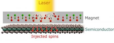 Ultra-short laser pulses on cobalt - spin polarization photo