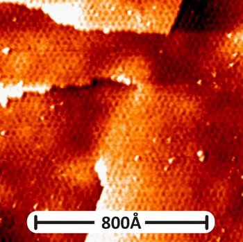 Graphene on gold topography photo