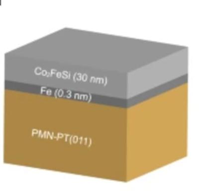 Schematic of the fabricated Co2FeSi/PMN-PT(011) heterostructure
